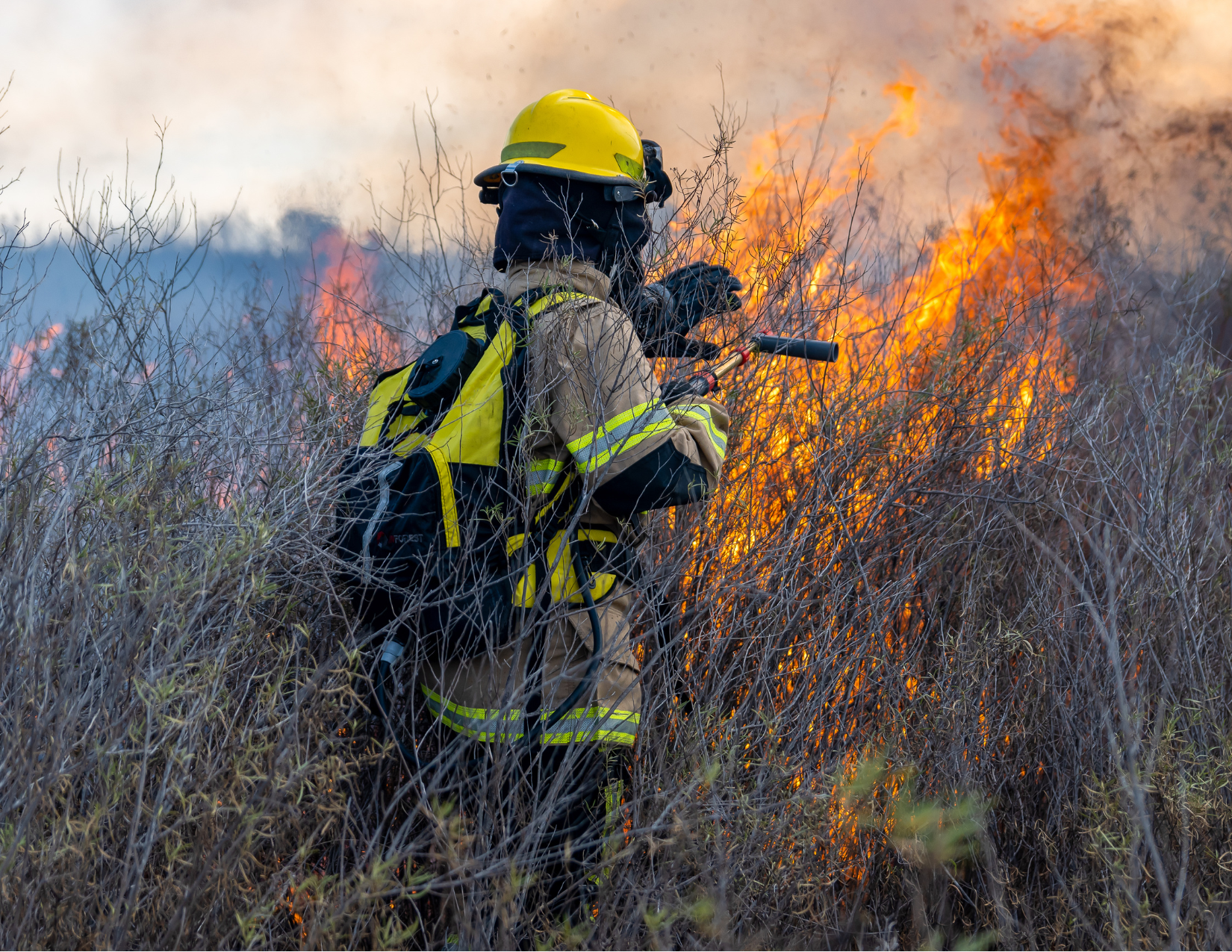 Is Your Hospitality Business Prepared for Wildfire Season?